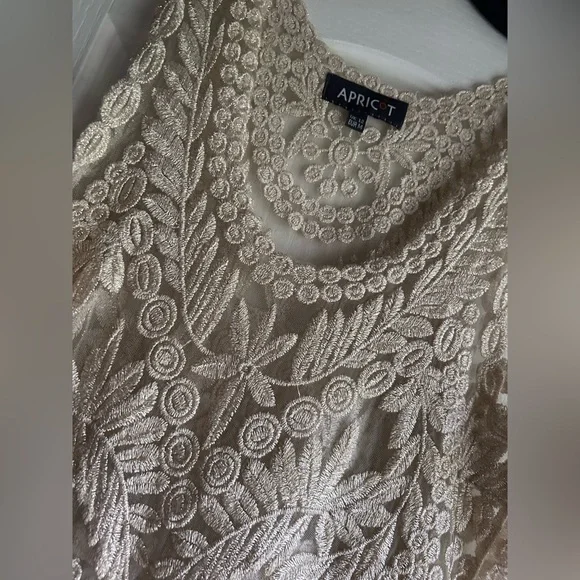 APRICOT Sheer Metallic Sparkle Embroidered Tank Top Fairy Whimsigoth Boho | Sz M - Picture 5 of 16